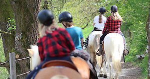 Reiten im Kinder- und Familienhotel im Bayerischen Wald